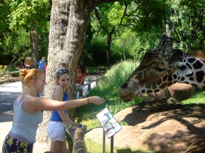 Me feeding a giraffe. Jealous?